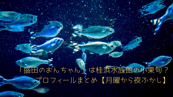 盛田のおんちゃん は桂浜水族館の小栗旬 プロフィールまとめ 月曜から夜ふかし コーヒー片手に読むブログ